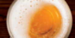 Wine Beer Spirits